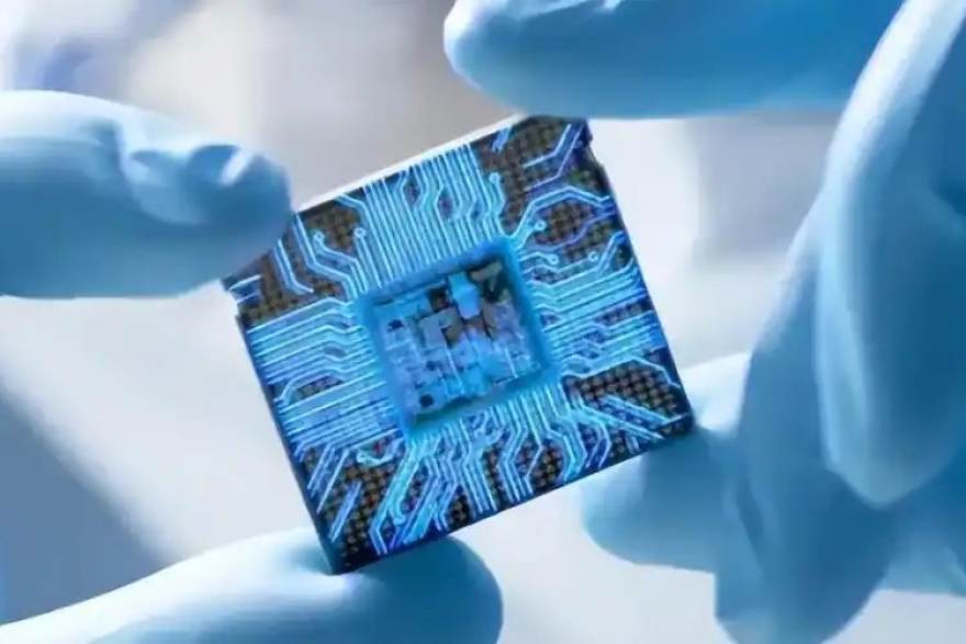 电竞秋季赛程密集期，看个比赛多项目并行观赛体验